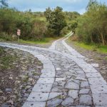 shortcut to success