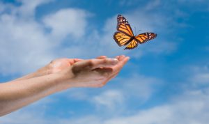 iStock_000011612569XSmall