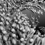 mind viruses