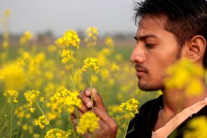 prosperity