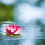 prosperity affirmation